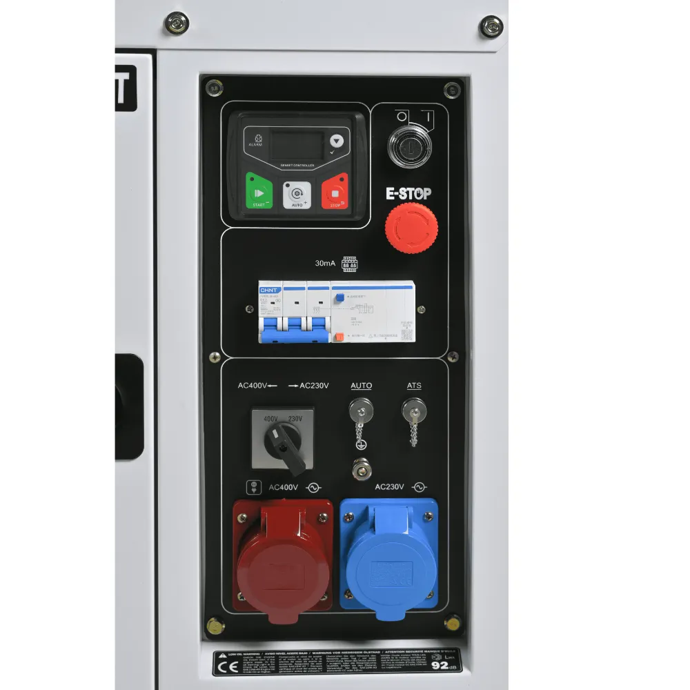 DHY10000SE-T (8).webp